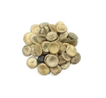 馬錢(qián)子 Strychni Semen