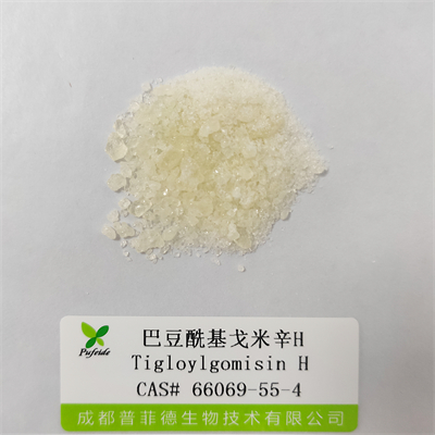 巴豆?；昝仔罤|66069-55-4