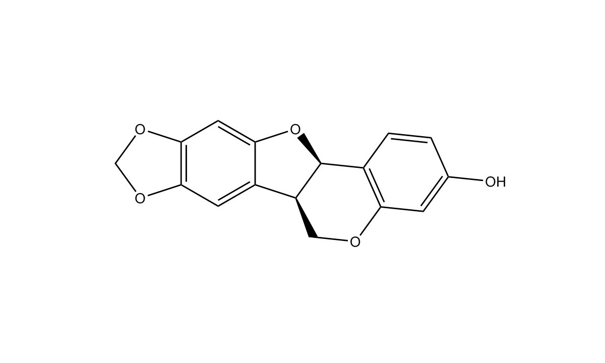 高麗槐素|19908-48-6