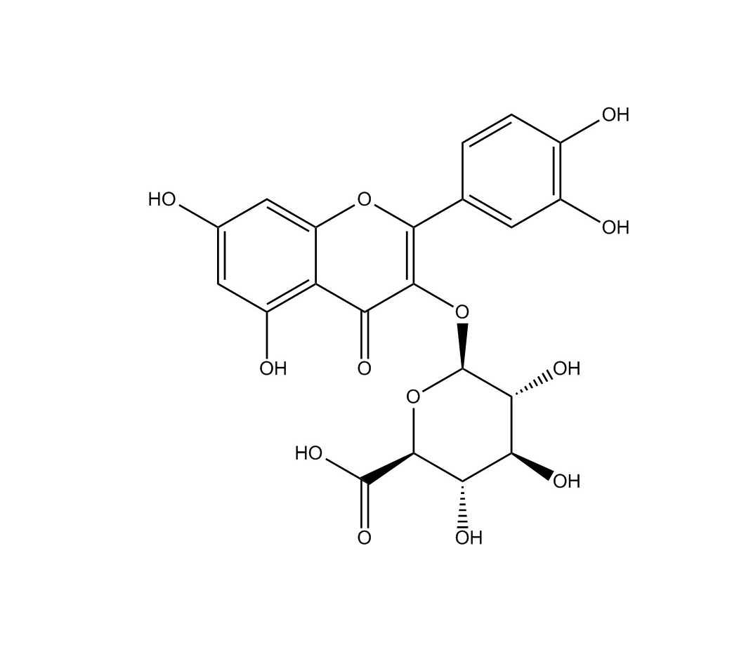 槲皮素-3-0葡萄糖醛酸苷|22688-79-5